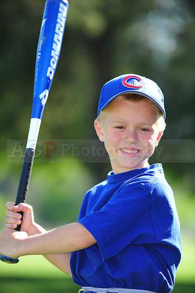 Farm_Cubs093