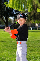 TBMarlins008