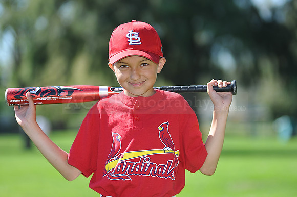 AA_Cardinals030