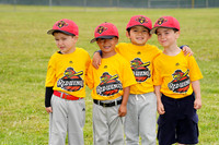 WIFFLE BALL REDWINGS