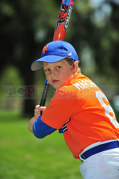 Farm_Mets051