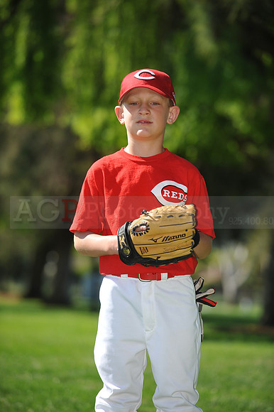 Farm_Reds032
