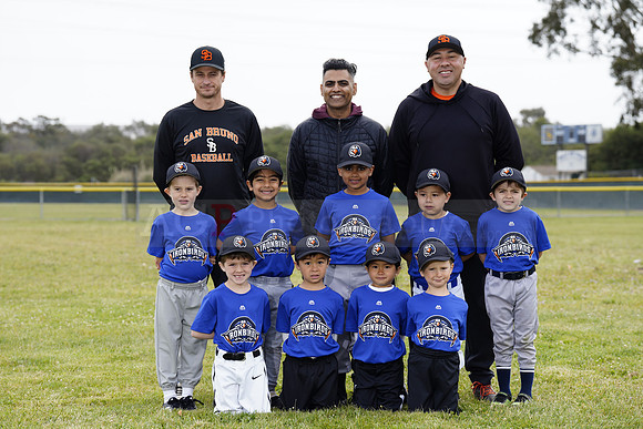 TBIronBirds00146