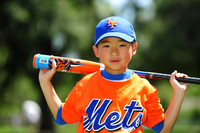 Farm_Mets014