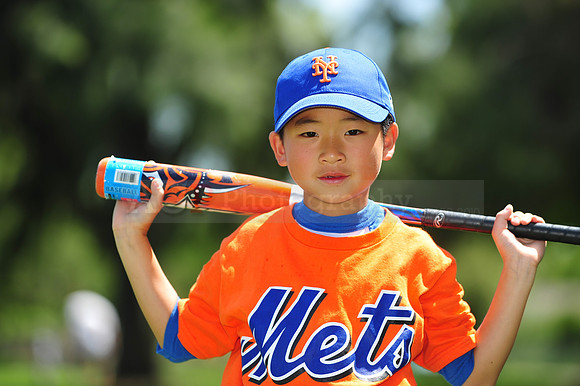 Farm_Mets014