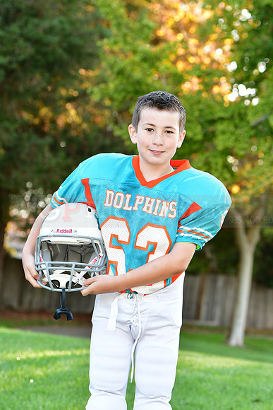 Dolphins101