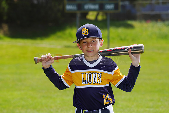 SB_PW_Lions019