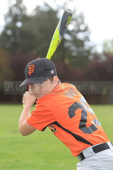 AAAGiants069