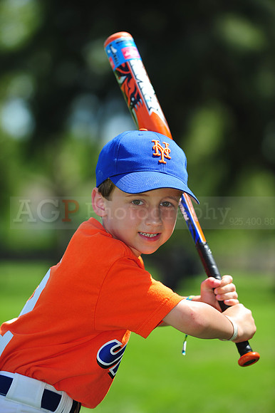 Farm_Mets084