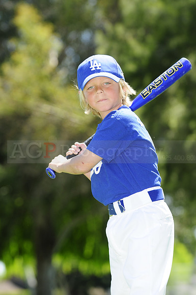 FarmDodgers049