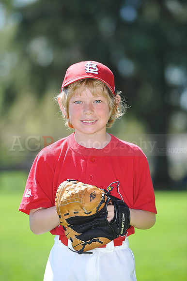 A_Cardinals096