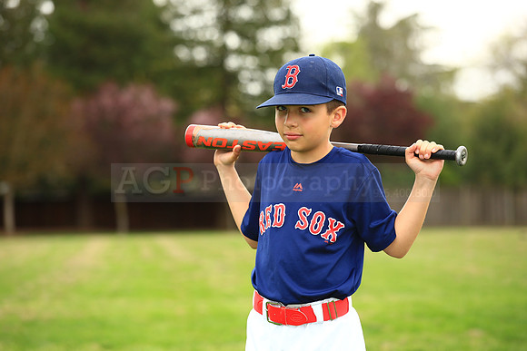 AARedsox082