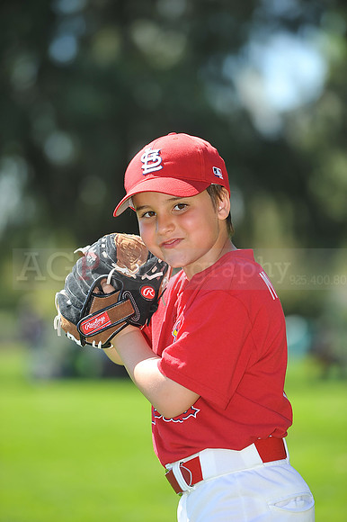 A_Cardinals104