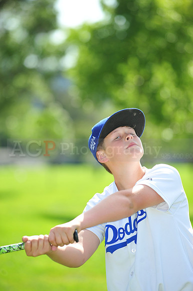 MDodgers005