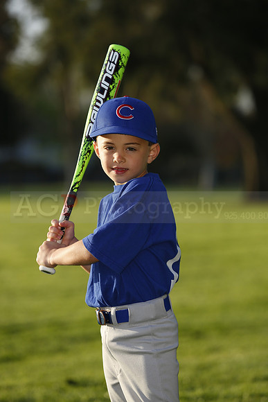 FarmCubs031