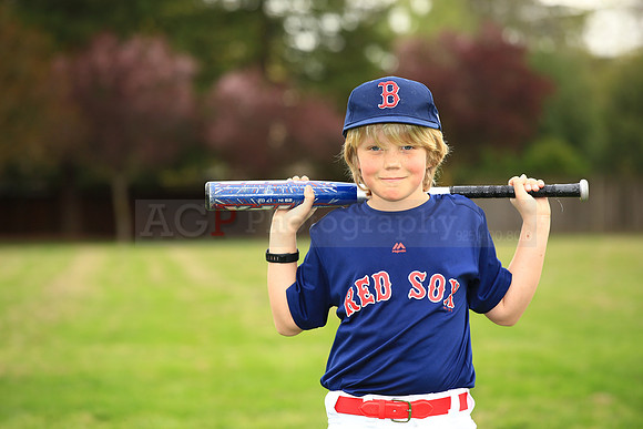 AARedsox091