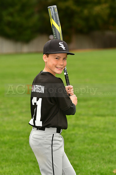 MWhiteSox020
