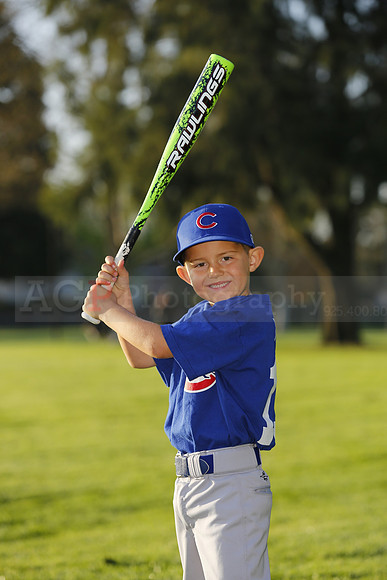 FarmCubs037