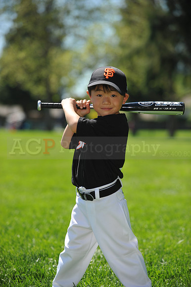 T-Ball Giants036
