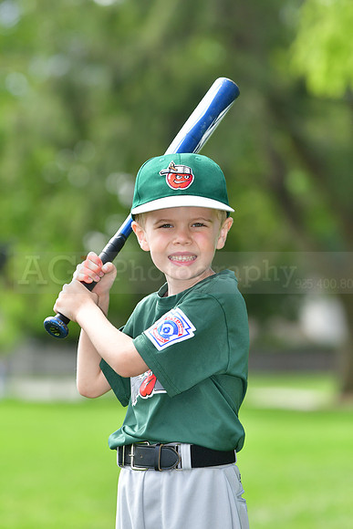 TBTincaps047