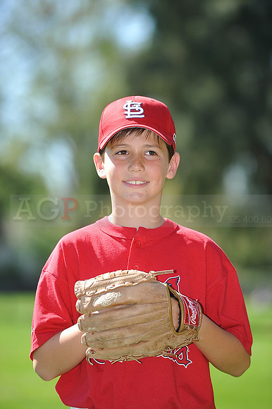 AA_Cardinals043
