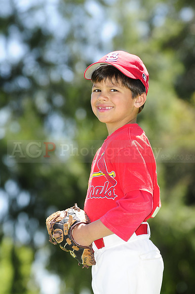 FarmCards051