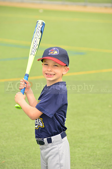 SB_TB_mudhens00007