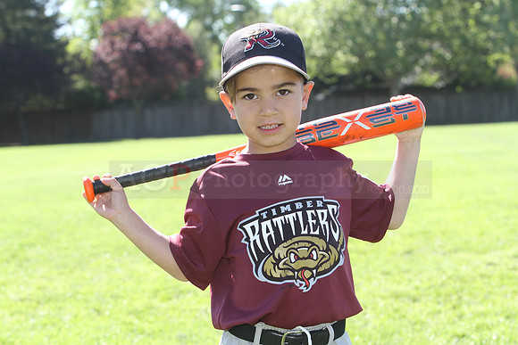 FMTimberRattlers063