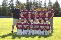 A TIMBER RATTLERS