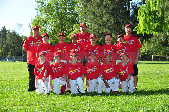 MajorCardinals083