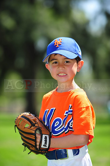 Farm_Mets027