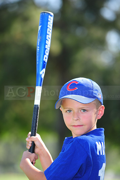 Farm_Cubs076