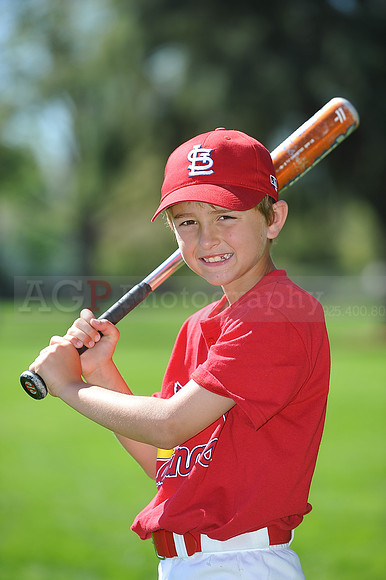 AA_Cardinals072