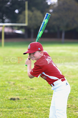 AACardinals046