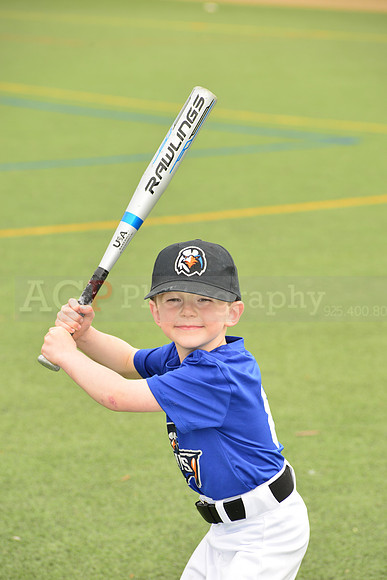 SB_TB_Ironbirds00066