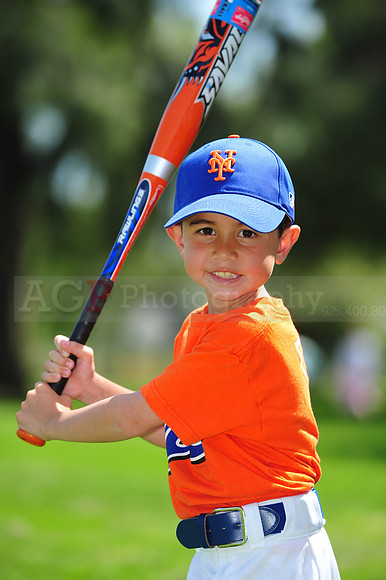 Farm_Mets031