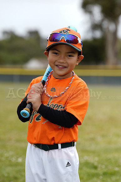 TBGrasshoppers00102