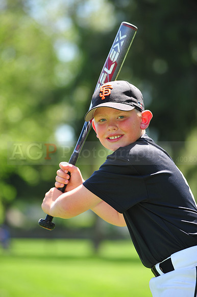 AAA_Giants026