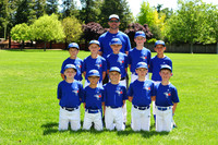AA BLUE JAYS