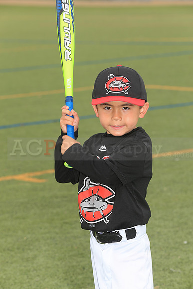 SB_TB_Mudcats00048