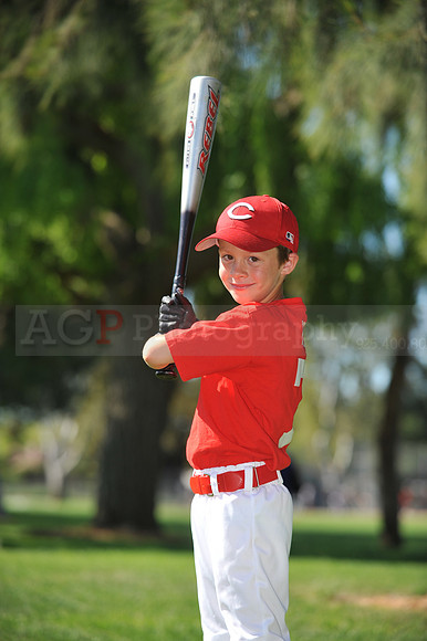 Farm_Reds058