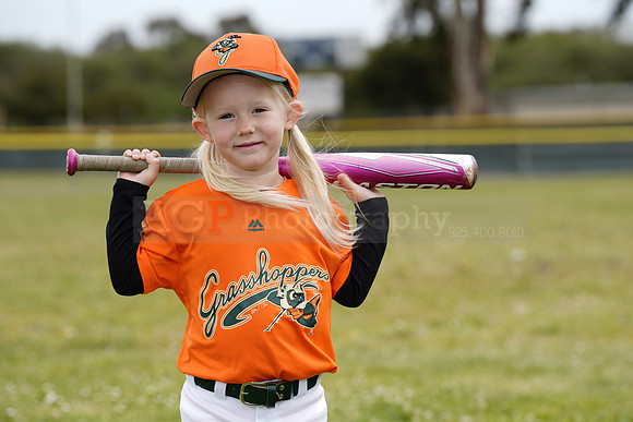 TBGrasshoppers00096