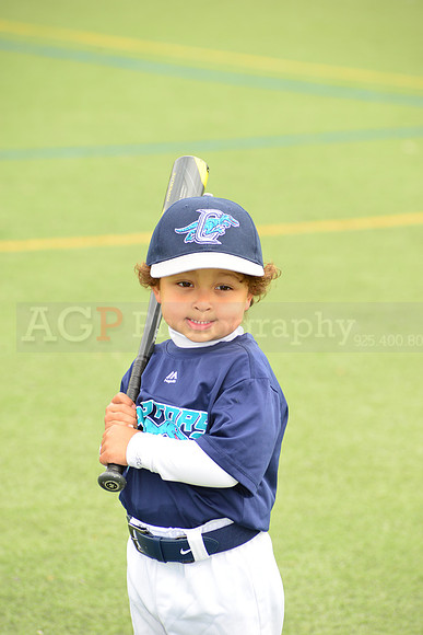 SB_TB_Raptors00195