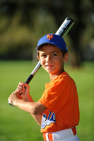 A_Mets022