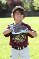 FMTimberRattlers001