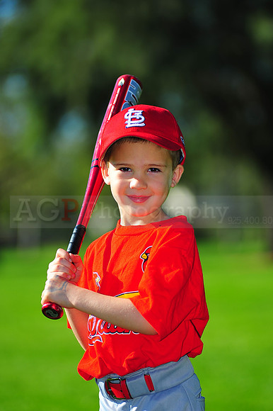TBall_Cardinals004
