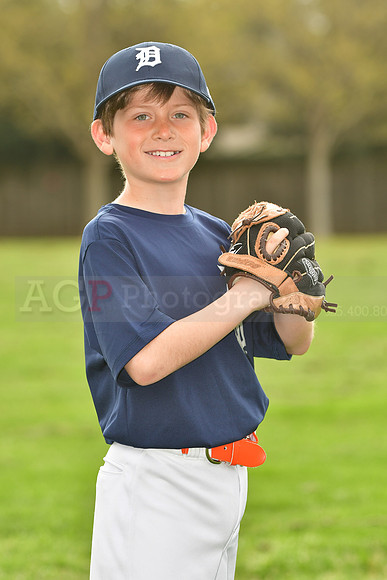 AATigers037