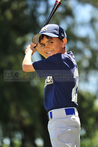 AA Brewers048