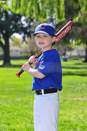 FMCubs031