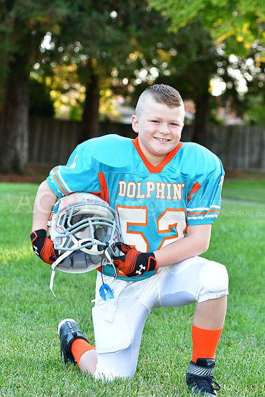 Dolphins032